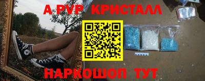 гашик Краснознаменск