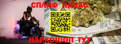 гашик Краснознаменск